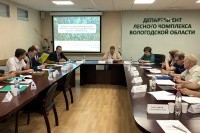 ОС Департамента лесного комплекса региона поддержал проект госпрограммы «Развитие лесного комплекса Вологодской области на 2021 - 2025 годы»
