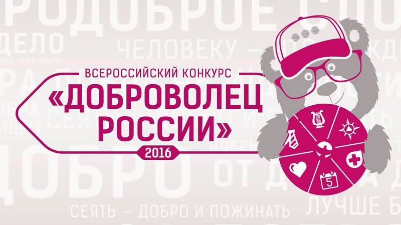 Опыт члена вологодской Общественной палаты представят на Всероссийском форуме добровольцев
