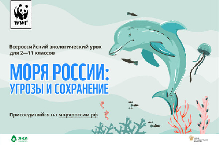 Провести интерактивный экоурок «Моря России» приглашают вологодских учителей 